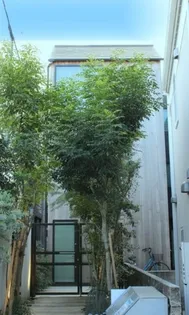 cocoha都立大(ココハトリツダイ)【2階】の外観