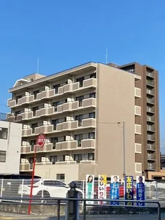 あいびー21の画像