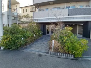 メゾン材木町【3階】の外観