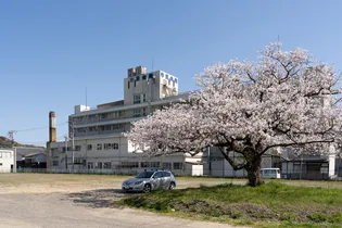 カーサ京町(Aタイプ)「1K」【4階】の周辺