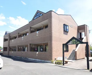 リオグランデ コーシの画像