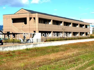 ルピナス ネオコートの画像