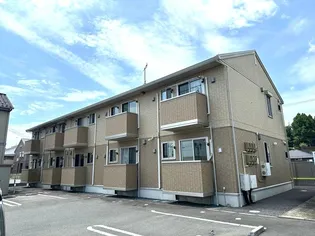 プリモカーサの画像