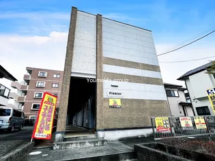 ピオニールの画像