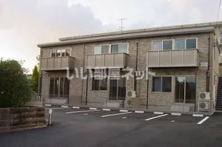 シトラス ジュノスの画像