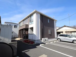 シャインの画像