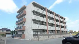 コンフォート ヴィーヴルの画像