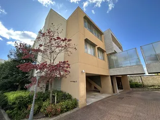 ニューシャンバラ光の画像