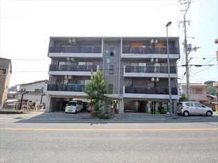 フラットパインヒルの画像
