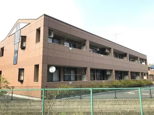 シャンティの画像