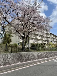 境谷西第二住宅26棟の画像