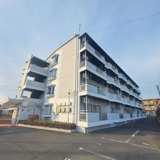 Mハイツ【4階】の外観