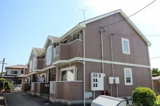 エバーグリーンSAKAGUTIの画像