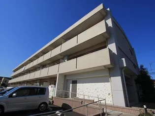 BELTION UMEZONOの画像