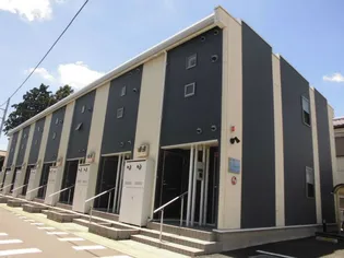 レオネクストフェリシティ高坂の画像