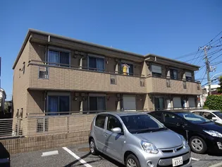 プルメリアの画像