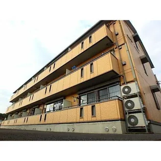 ウィルモアKOEDOの画像