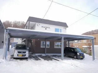 ピースフルIIIの画像