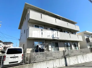 プリムローズの画像