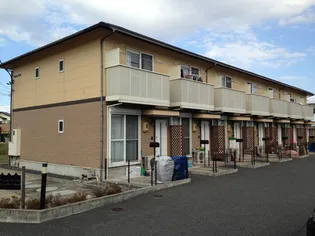 サニーカーサハルの画像