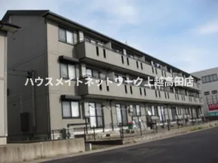 エクセレントユキの画像