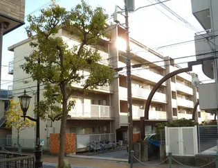 サンサシオンの画像