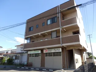 スターブルの画像