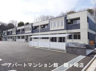 コスモスの画像