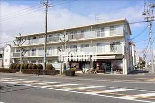 ルミエール打中の画像