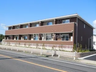 アイリスの画像