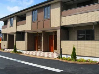 ブレイスの画像