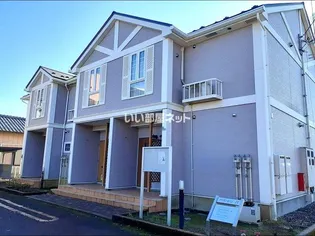 クリサンセマムの画像