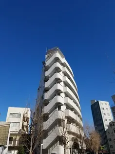 ピソブランコの画像