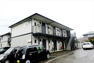 パイングローブの画像