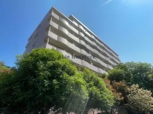 アモ末広の画像