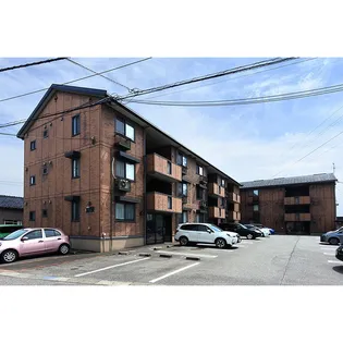 セントルイン八番館の画像