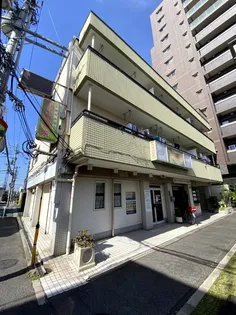 サンロゼヤマモトの画像