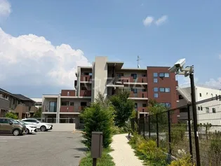 GREEN HILLの画像