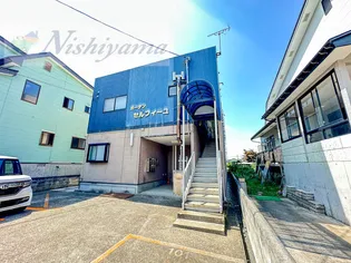 ガーデンセルフィーユの画像