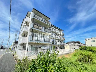 マンションドリーム【4階】の外観