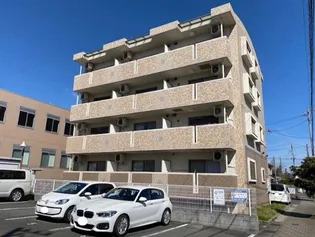 CAMPANULAの画像