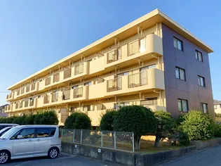 第2本橋フラワーマンションの画像