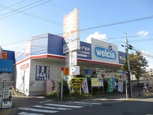 ビバリーホームズ下赤塚【5階】の周辺