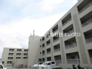 ロイヤルハイツ木村1号館【2階】の外観