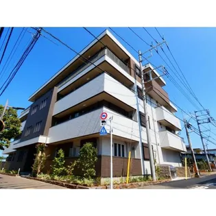 トゥインクル ヴィータの画像