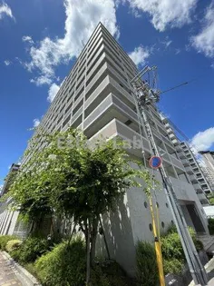 WILLDO浜崎通の画像