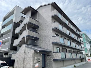 エステーラの画像