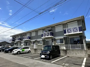 モカ ブラウンの画像