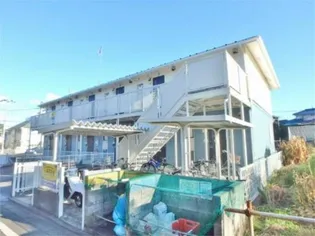 ファインコートの画像