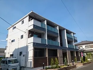 アムールの画像